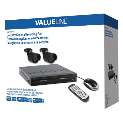 Überwachungs-Set HDD 500 GB / 420 TVL - 2 x Kamera